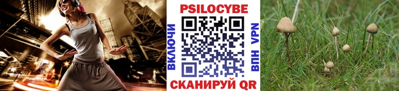 hydra рабочий сайт  Видное  Псилоцибиновые грибы ЛСД 